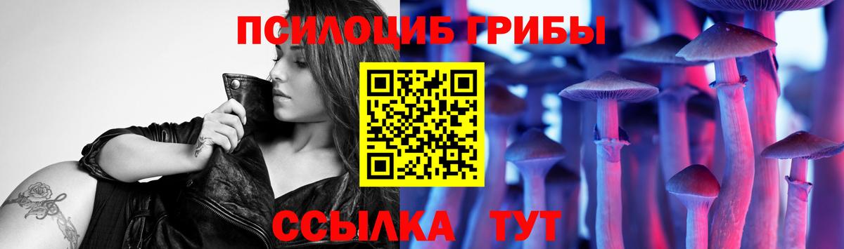 Псилоцибиновые грибы GOLDEN TEACHER  Вход с VPN  Вязники 